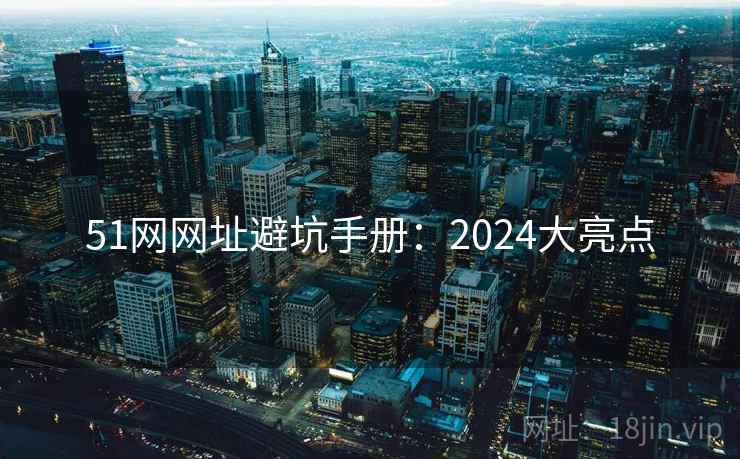 51网网址避坑手册：2024大亮点