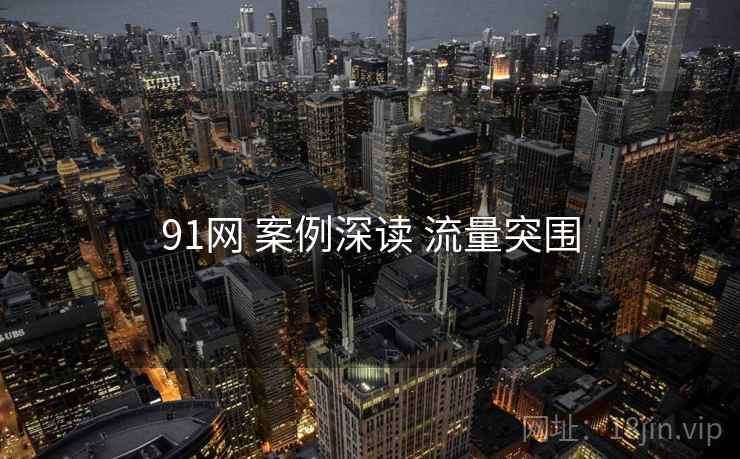 91网 案例深读 流量突围