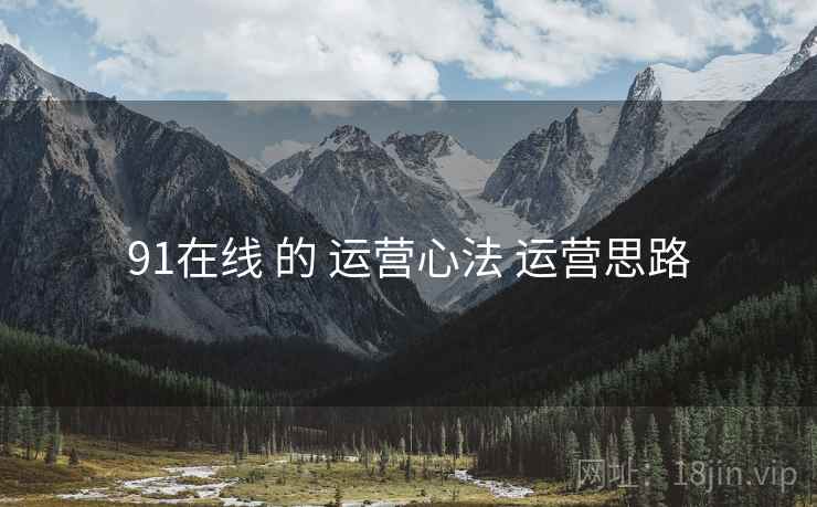 91在线 的 运营心法 运营思路