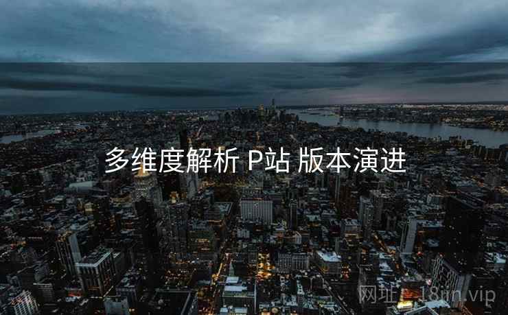 多维度解析 P站 版本演进