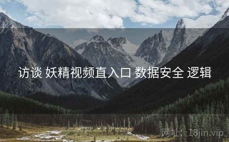 访谈 妖精视频直入口 数据安全 逻辑