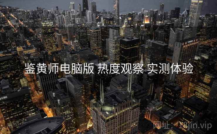 鉴黄师电脑版 热度观察 实测体验